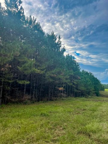 3564 Midway Loop E, Livingston, TX 77351