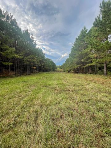 3564 Midway Loop E, Livingston, TX 77351