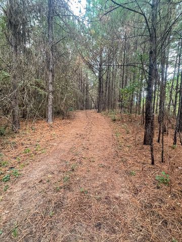 3564 Midway Loop E, Livingston, TX 77351