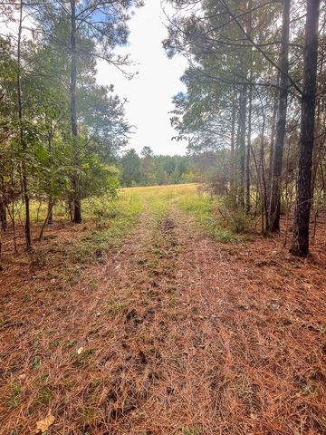 3564 Midway Loop E, Livingston, TX 77351