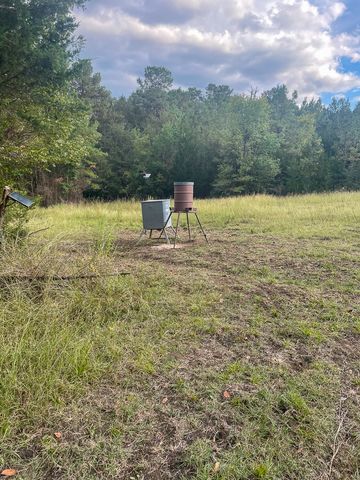 3564 Midway Loop E, Livingston, TX 77351