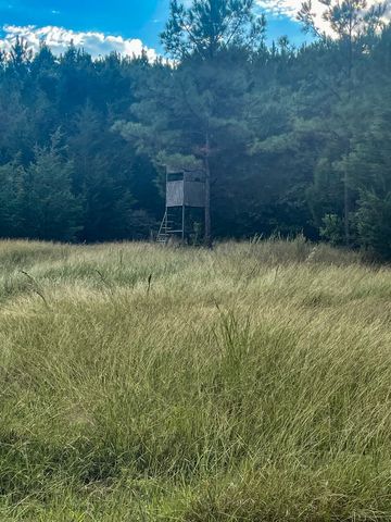 3564 Midway Loop E, Livingston, TX 77351