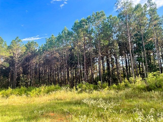 3564 Midway Loop E, Livingston, TX 77351