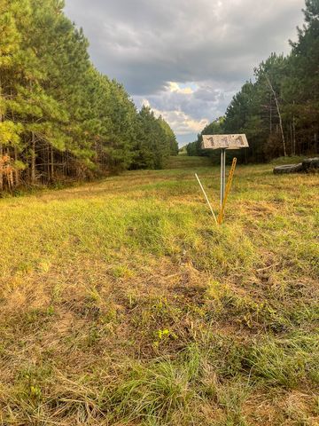 3564 Midway Loop E, Livingston, TX 77351