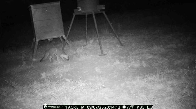 3564 Midway Loop E, Livingston, TX 77351