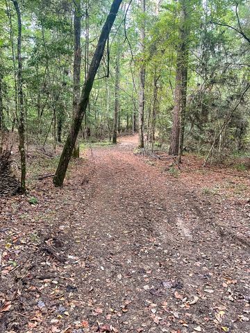 3564 Midway Loop E, Livingston, TX 77351