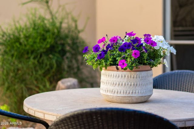 9045 N 86TH Place, Scottsdale, AZ 85258