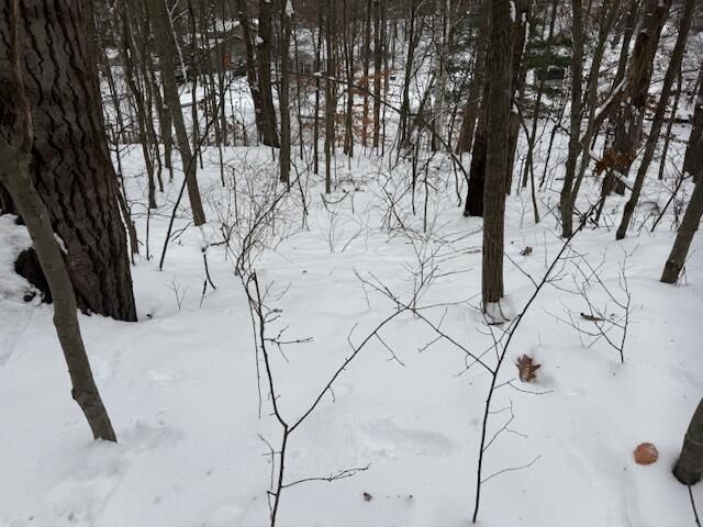 9861 E School Section Lake Drive, Mecosta, MI 49332