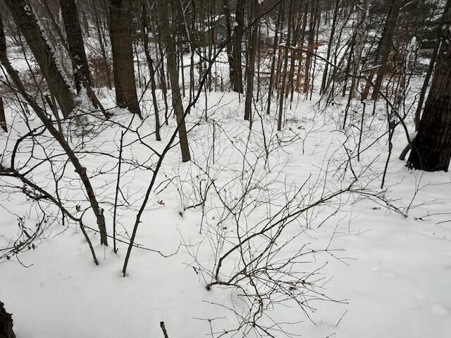 9861 E School Section Lake Drive, Mecosta, MI 49332