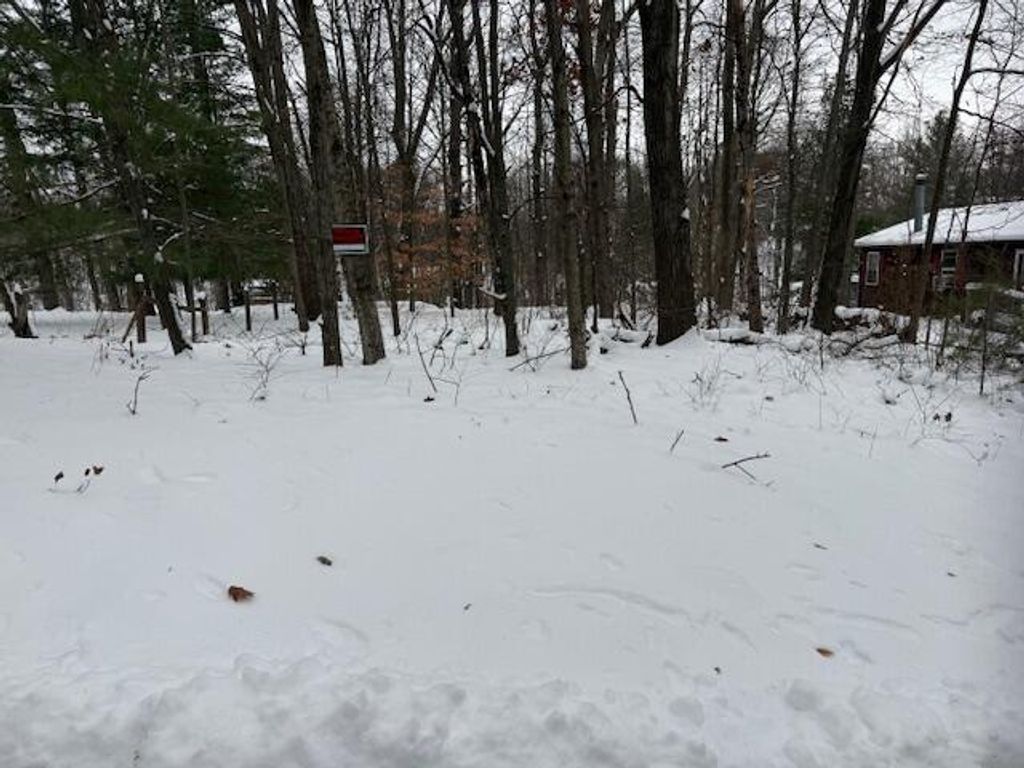 9861 E School Section Lake Drive, Mecosta, MI 49332