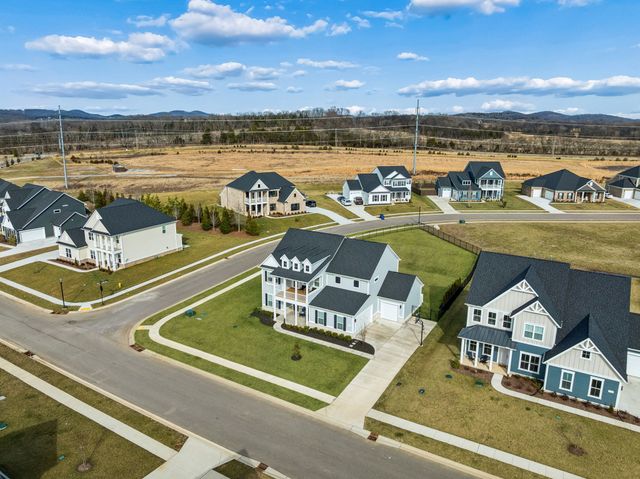 7283 Fiddlers Glen Dr, Arrington, TN 37014