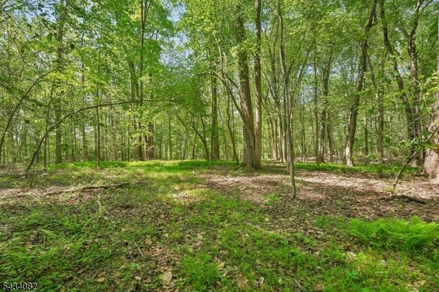 0 Homestead Rd, Long Hill Twp., NJ 07933
