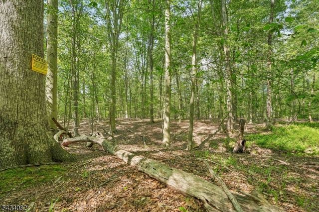 0 Homestead Rd, Long Hill Twp., NJ 07933