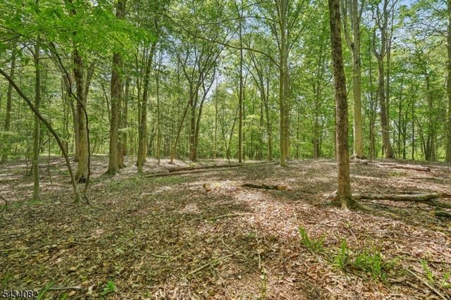 0 Homestead Rd, Long Hill Twp., NJ 07933
