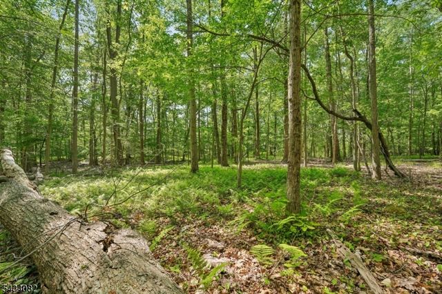 0 Homestead Rd, Long Hill Twp., NJ 07933