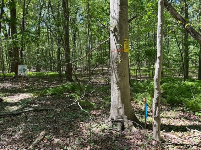 0 Homestead Rd, Long Hill Twp., NJ 07933