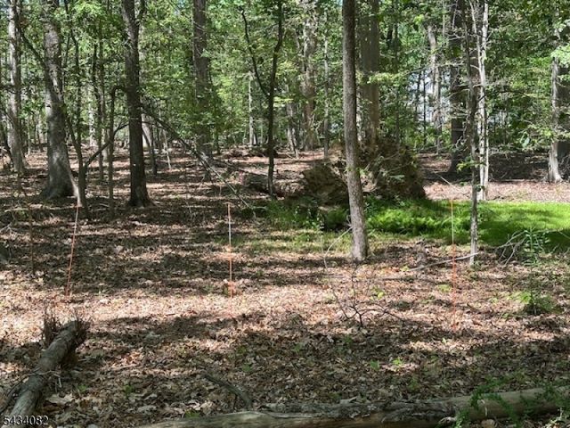 0 Homestead Rd, Long Hill Twp., NJ 07933
