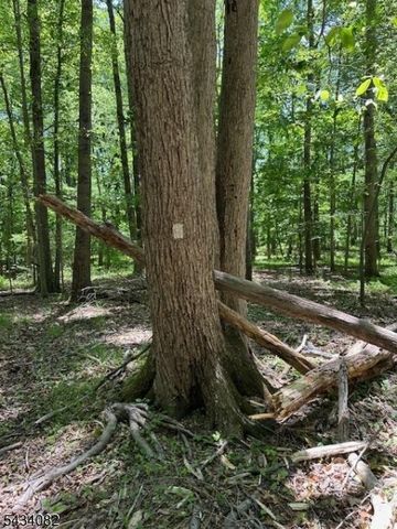 0 Homestead Rd, Long Hill Twp., NJ 07933