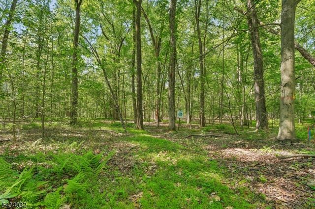 0 Homestead Rd, Long Hill Twp., NJ 07933