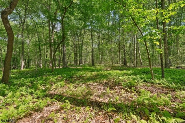 0 Homestead Rd, Long Hill Twp., NJ 07933