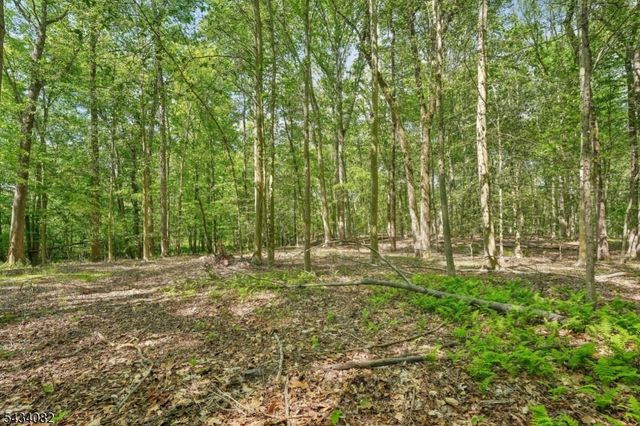 0 Homestead Rd, Long Hill Twp., NJ 07933