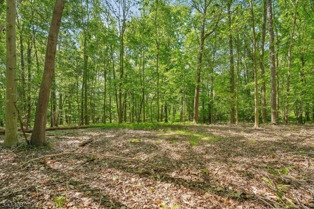 0 Homestead Rd, Long Hill Twp., NJ 07933