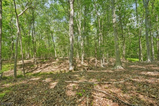 0 Homestead Rd, Long Hill Twp., NJ 07933