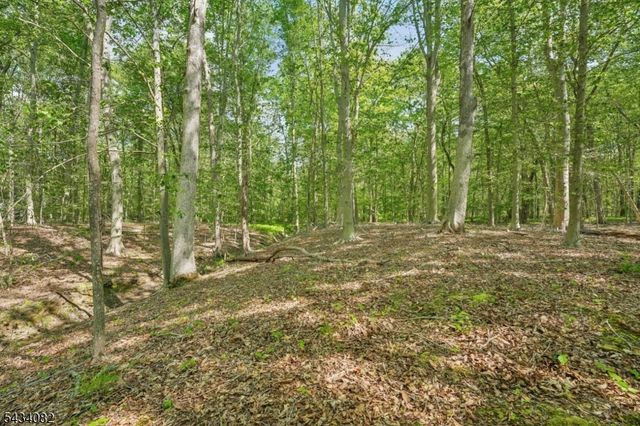 0 Homestead Rd, Long Hill Twp., NJ 07933