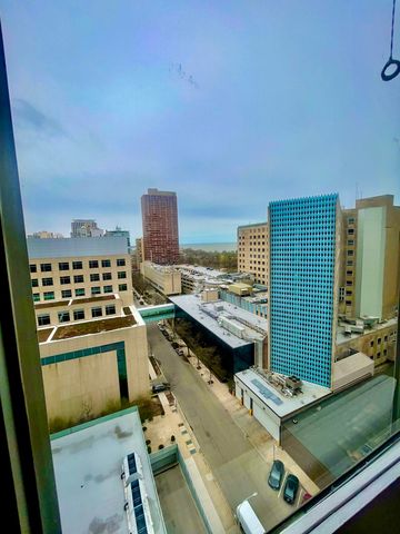 330 W DIVERSEY Parkway 1508, Chicago, IL 60657