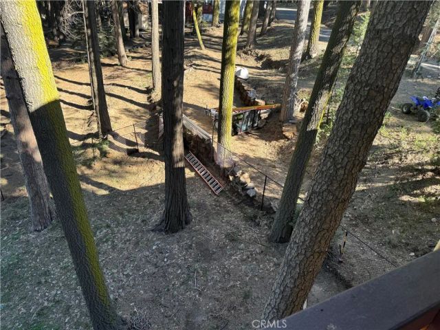 21564 Jobs Peak, Cedarpines Park, CA 92322