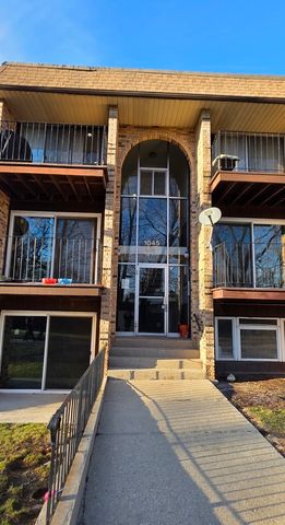 1045 Higgins Quarters Drive 4-101, Hoffman Estates, IL 60169