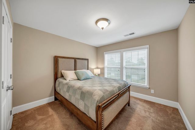 250 Thacher Loop, Elgin, SC 28902