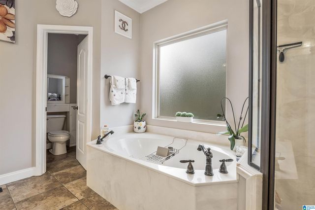 113 DEER RIDGE DRIVE, Chelsea, AL 35043