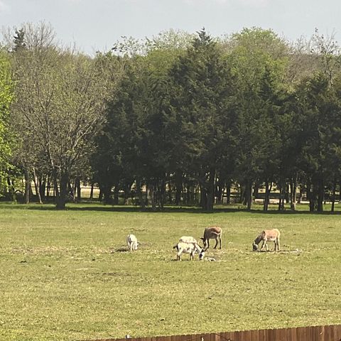 1704 Dunbrook Road, Mckinney, TX 75071