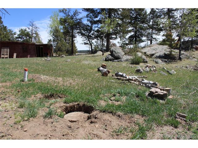 234 Panorama Dr, Bailey, CO 80421