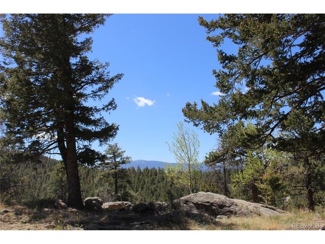 234 Panorama Dr, Bailey, CO 80421