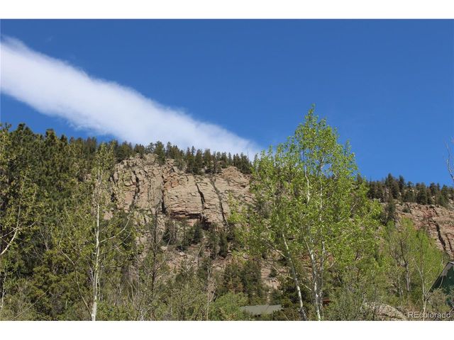 234 Panorama Dr, Bailey, CO 80421