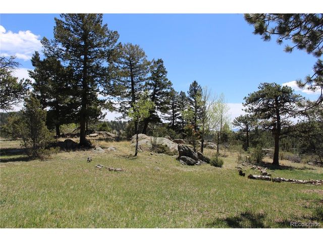 234 Panorama Dr, Bailey, CO 80421