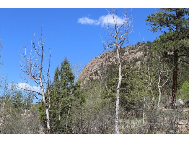 234 Panorama Dr, Bailey, CO 80421