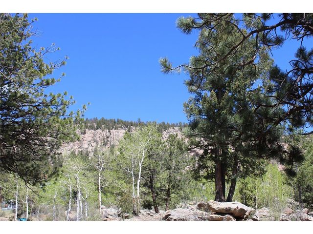 234 Panorama Dr, Bailey, CO 80421