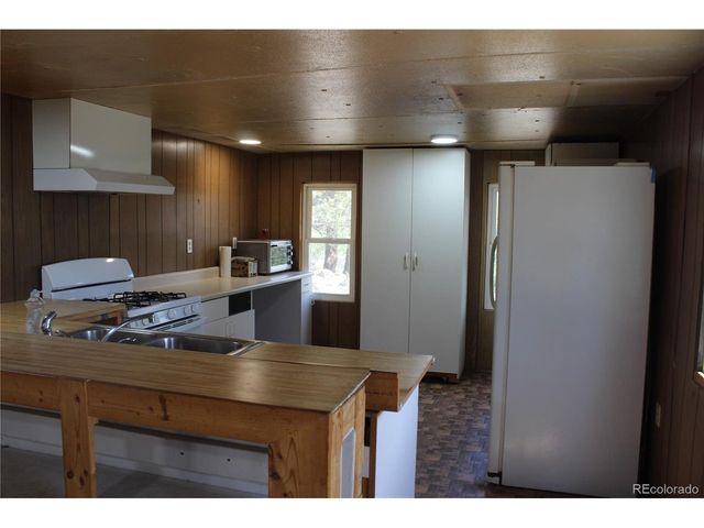 234 Panorama Dr, Bailey, CO 80421