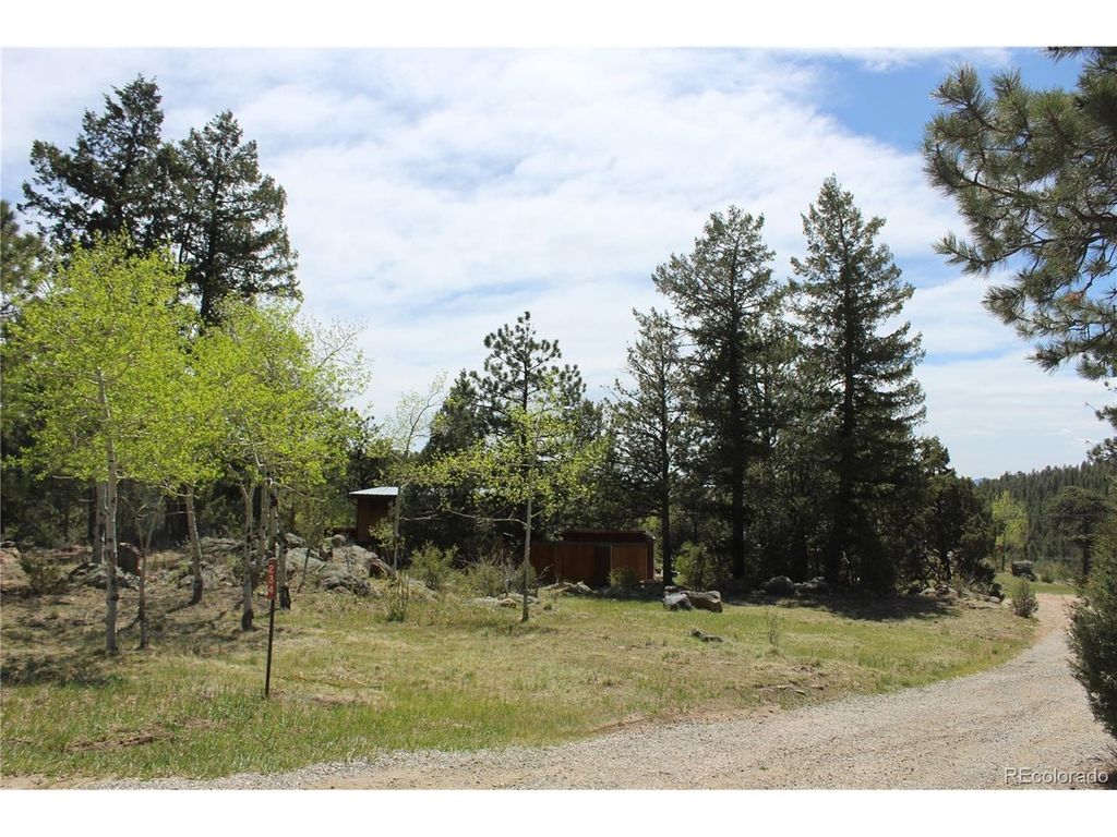234 Panorama Dr, Bailey, CO 80421