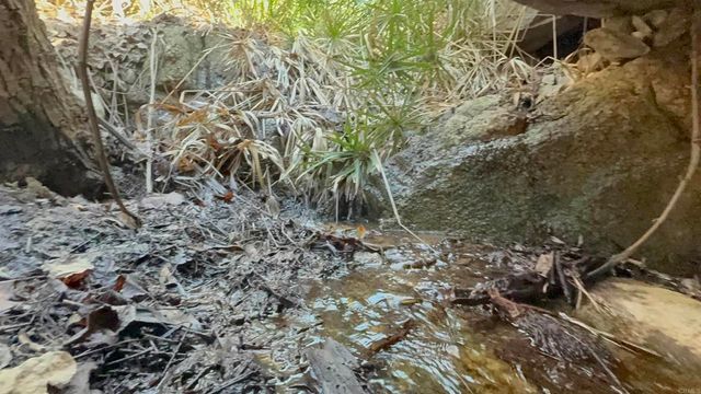 De Luz Murrieta Road, Fallbrook, CA 92028