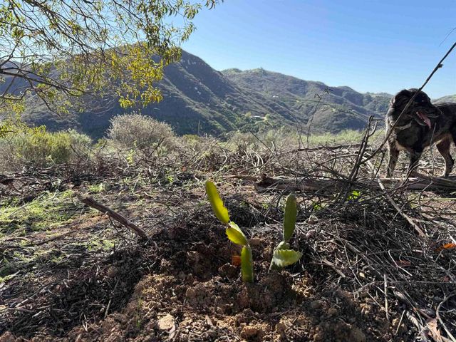 De Luz Murrieta Road, Fallbrook, CA 92028