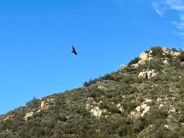 De Luz Murrieta Road, Fallbrook, CA 92028