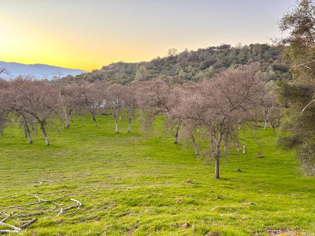 4758 High Country Rd, San Andreas, CA 95249