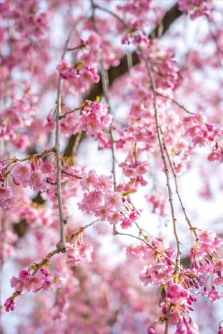 3612 E Congress Ave, Spokane, WA 99223