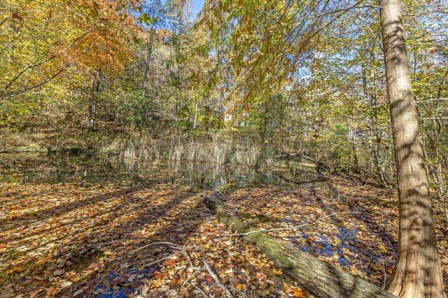 5833 Dewey Carr Rd, Bethpage, TN 37022