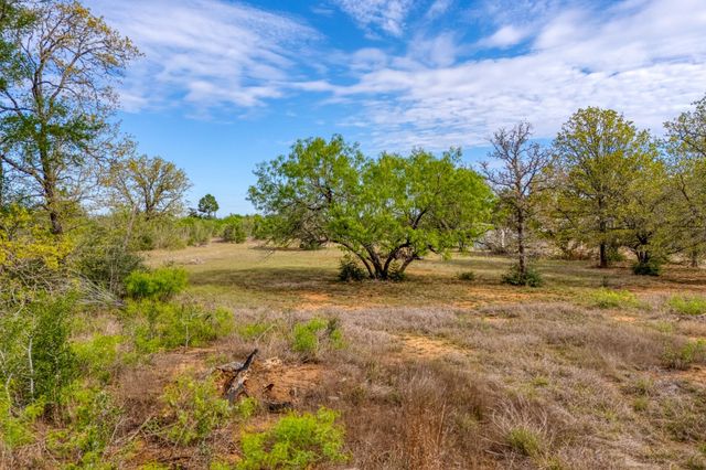 185 E Broken Tree LN, Smithville, TX 78957
