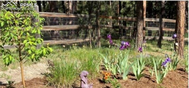 20320 Roaming Drive, Colorado Springs, CO 80908